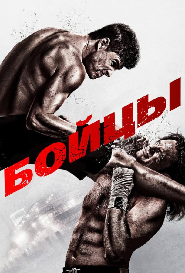 Brawler