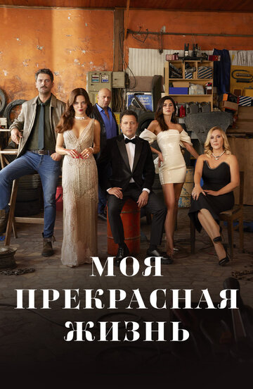 Моя прекрасная жизнь (сериал)