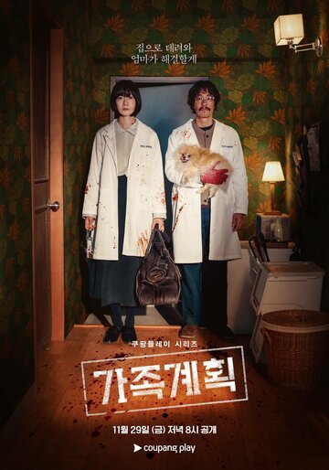 Семейный план (сериал)