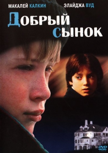 The Good Son