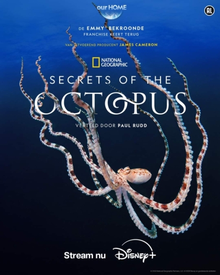 Secrets of the Octopus