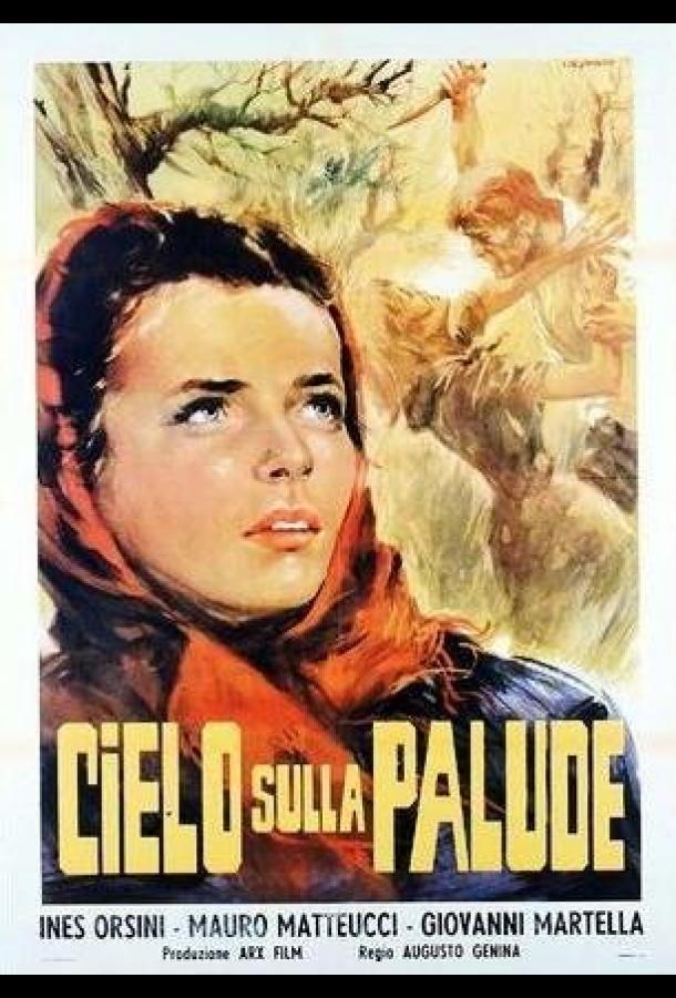 Cielo sulla palude