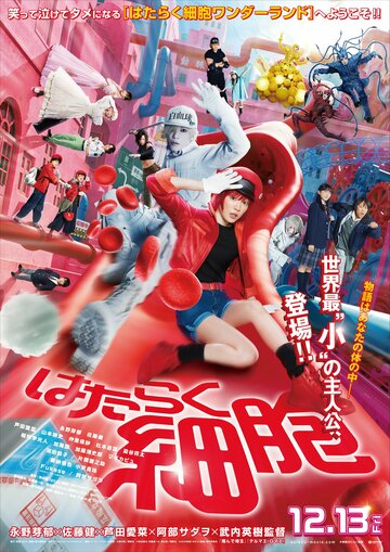 Hataraku Saibou