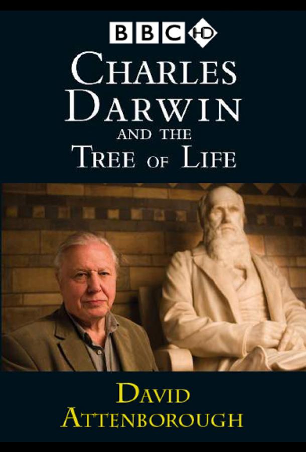 Charles Darwin and the Tree of Life