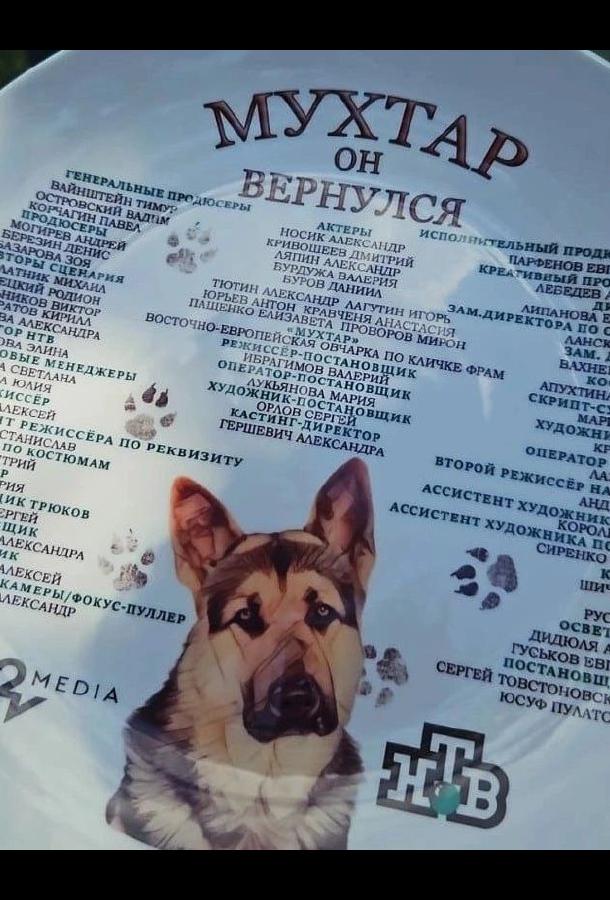 Мухтар. Он вернулся (сериал)