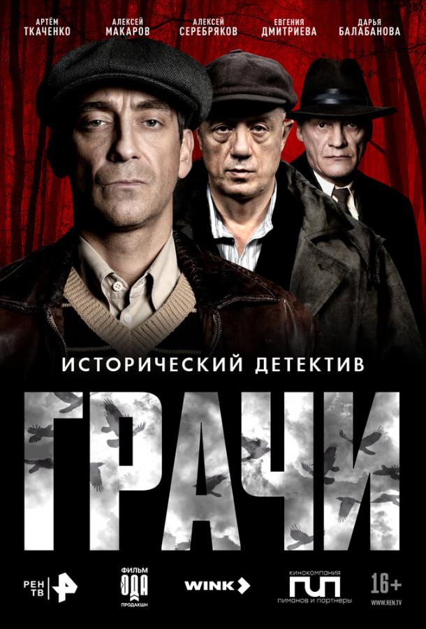 Грачи (сериал)