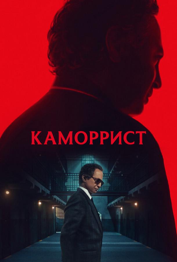 The Camorrist