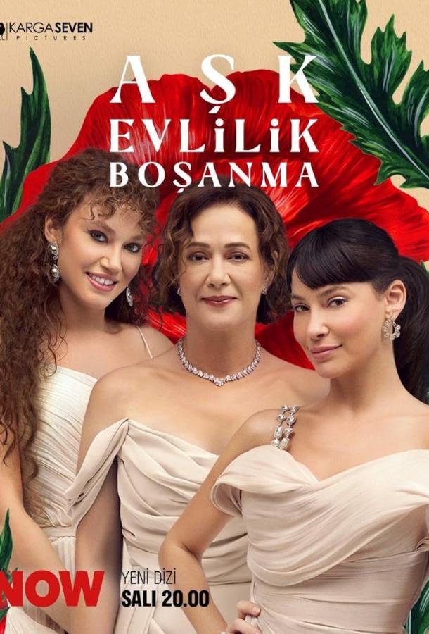 Ask Evlilik Bosanma