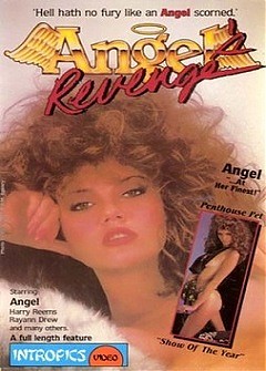 Angels Revenge