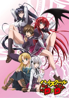 Высшая школа DxD (сериал)