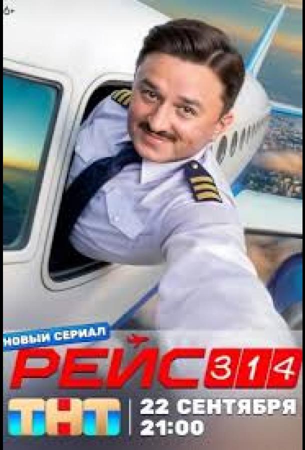 Рейс 314 (сериал)