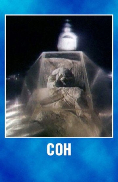 Son
