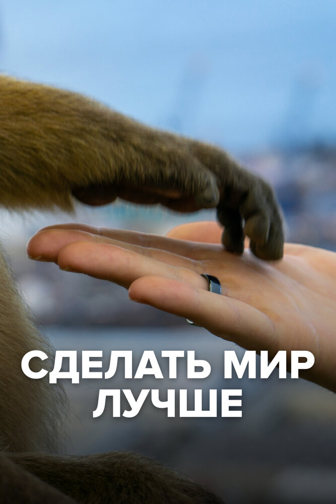 Collection the messenger. To make a better world