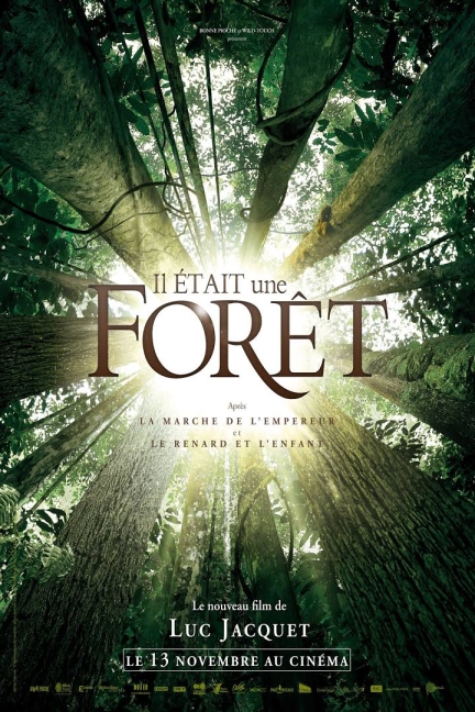 Once in the Forest