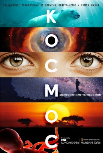 Cosmos