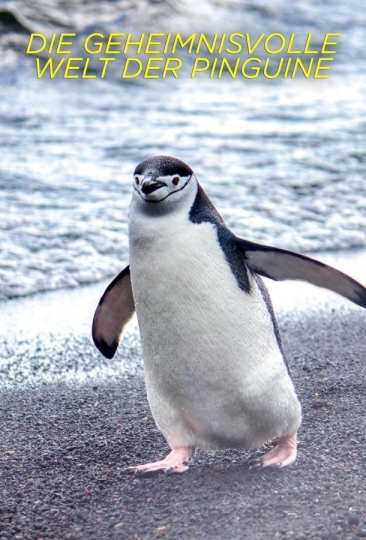Secrets of the Penguins