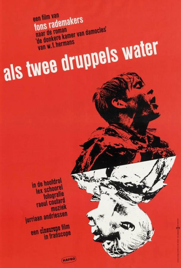 Als twee druppels water