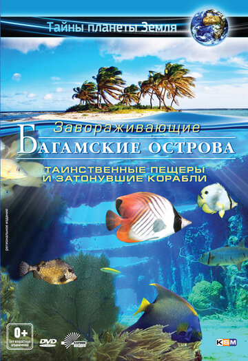 Багамские острова 3D: Таинственные пещеры и затонувшие корабли