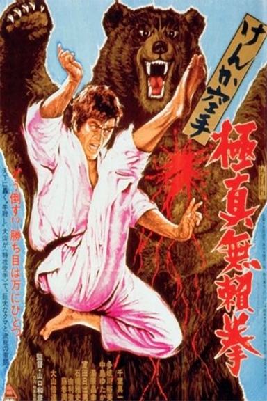 Kyokuskin kenka karate burai ken