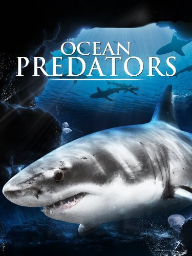 Ocean Predators 3D