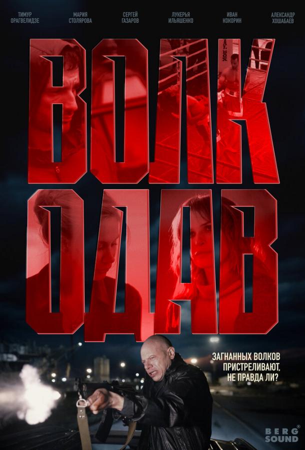 Волкодав (сериал)