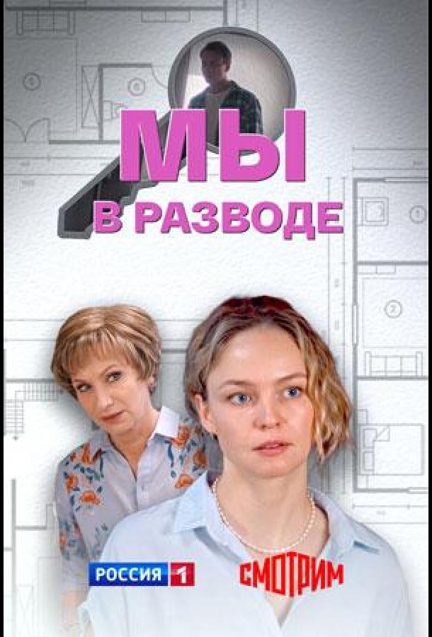 Мы в разводе (сериал)