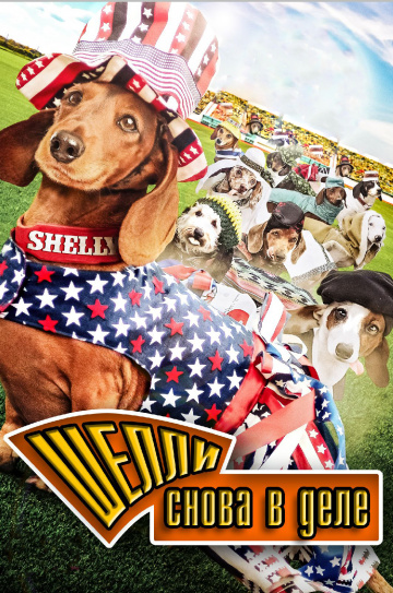 Wiener Dog Internationals