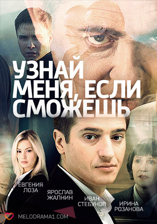 Узнай меня, если сможешь (сериал)