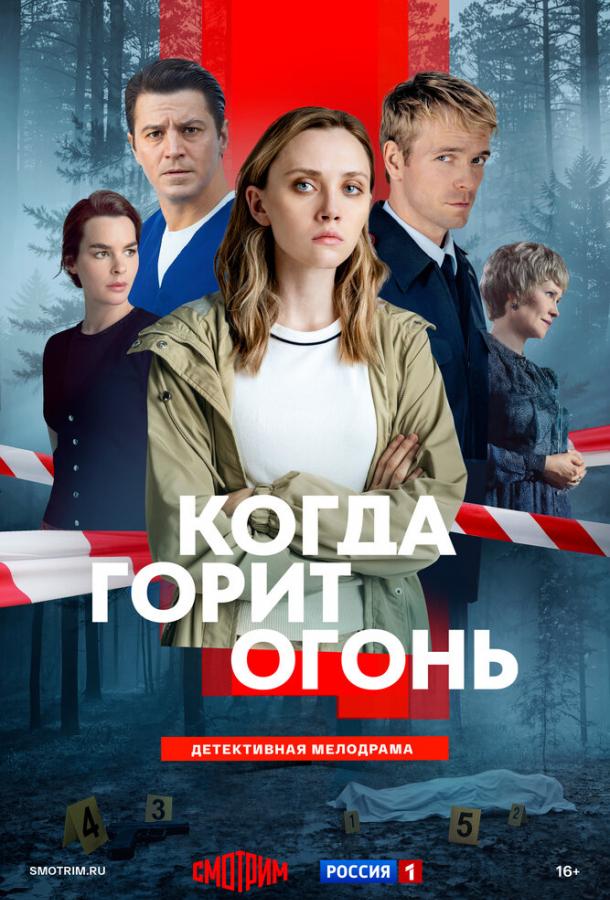 Когда горит огонь (сериал)