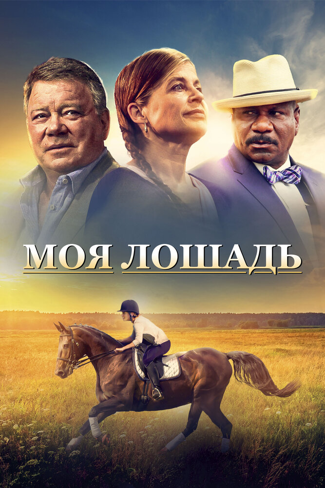 A Sunday Horse