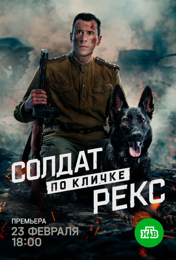 Солдат по кличке Рекс (сериал)