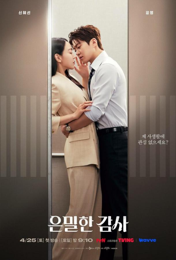 Тайный аудит (сериал)