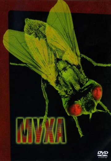 The Fly