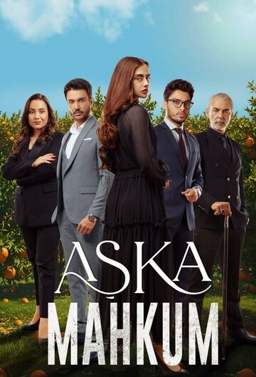 Заключенный любви (сериал)