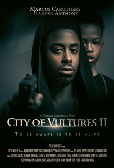 Vulture City 2