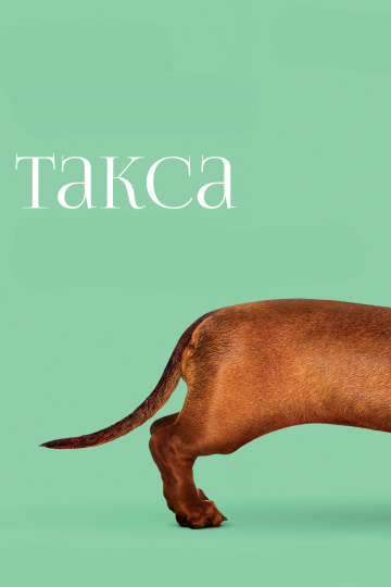 Wiener-Dog