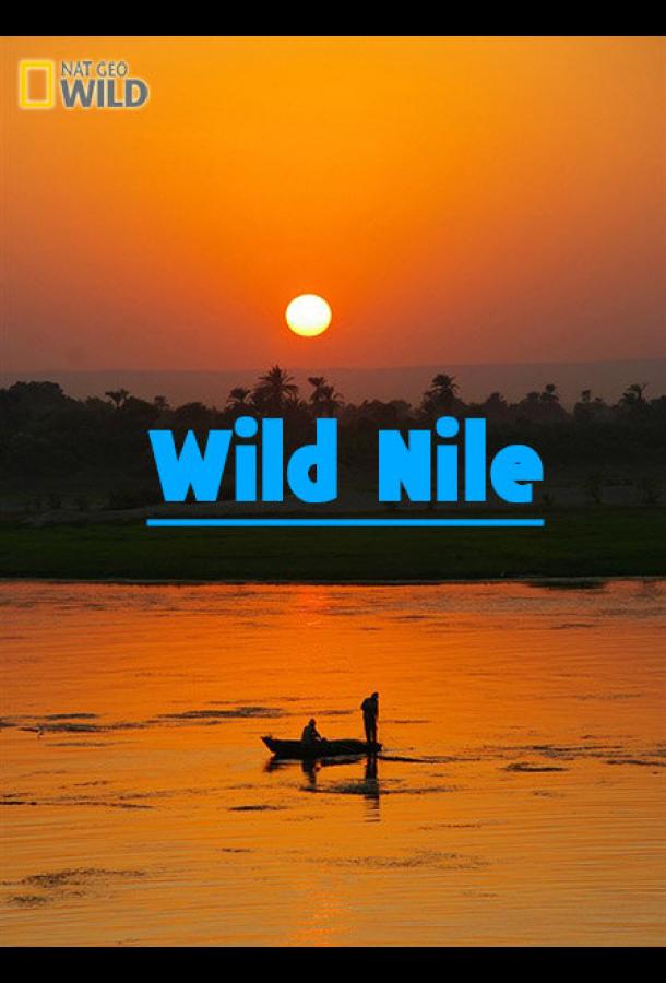 Wild Nile