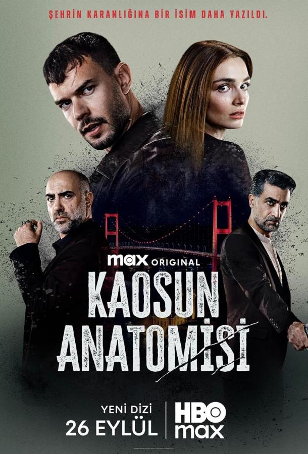 Анатомия хаоса (сериал)