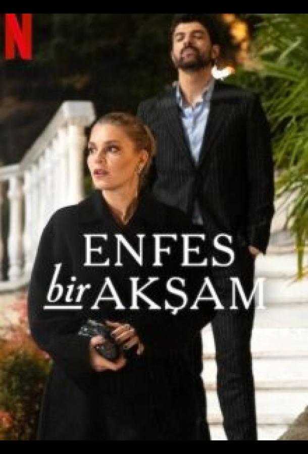 Восхитительный вечер (сериал)