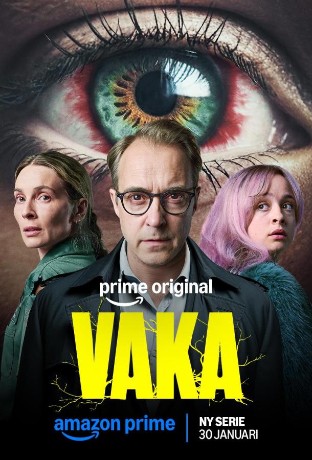 Бессонница (сериал)