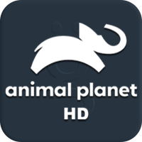 Animal Planet HD