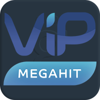 ViP Megahit HD