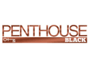 Penthouse Black HD