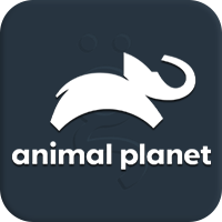 Animal Planet