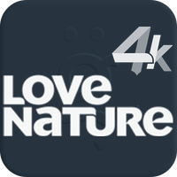 Love Nature 4K