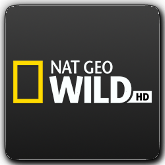 Nat Geo Wild HD 50fps